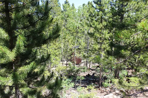 1595 Missouri Gulch RD, Black Hawk, CO 80422