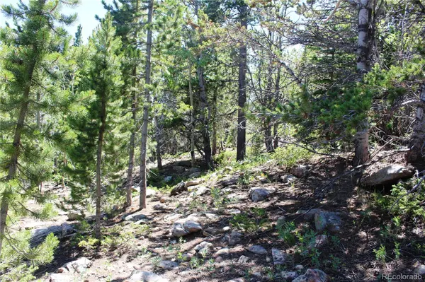 1595 Missouri Gulch RD, Black Hawk, CO 80422