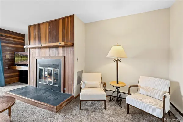 91300 Ryan Gulch RD #91301, Silverthorne, CO 80498