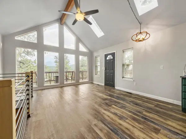 479 Doe CIR, Bailey, CO 80421