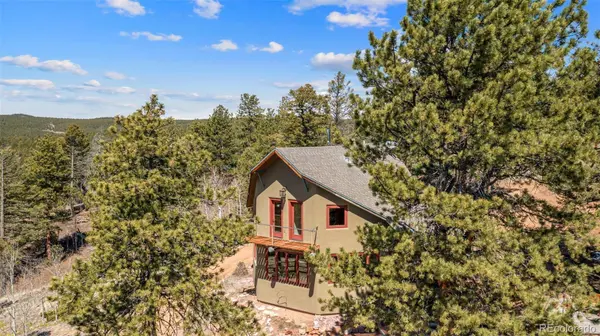 174 Needle Creek RD, Divide, CO 80814