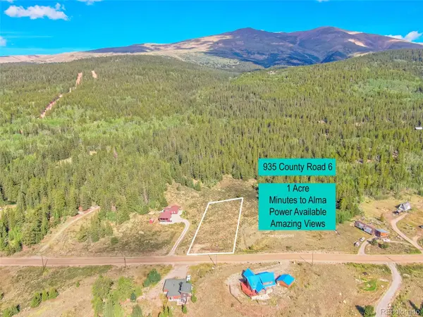 935 CO RD 6, Alma, CO 80420