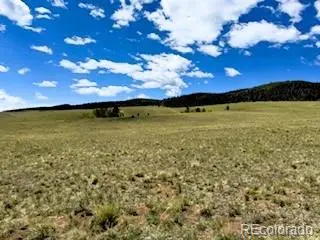 25 Sulky CT, Hartsel, CO 80449