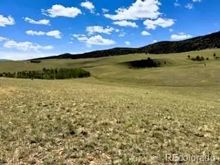 25 Sulky CT, Hartsel, CO 80449