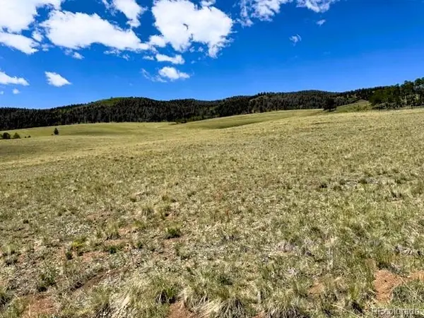 25 Sulky CT, Hartsel, CO 80449