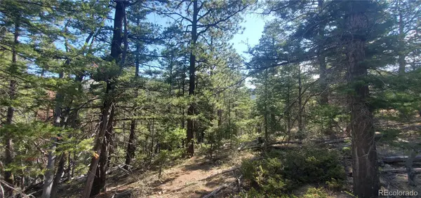 Lot 5273 Vivian RD, Fort Garland, CO 81133