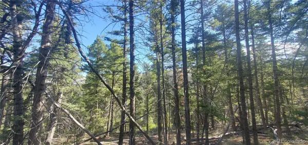 Lot 5273 Vivian RD, Fort Garland, CO 81133