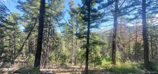 Lot 5273 Vivian RD, Fort Garland, CO 81133