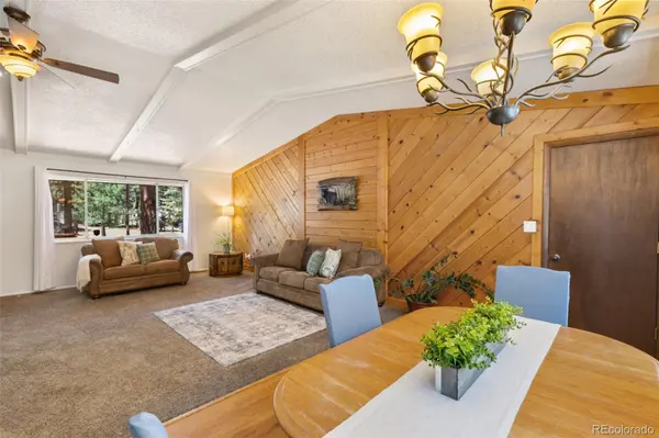 723 N Center ST, Woodland Park, CO 80863