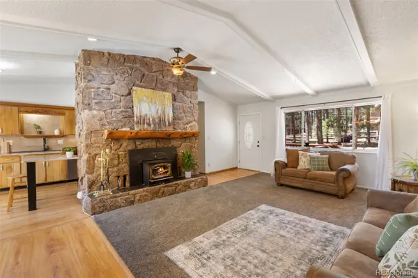 723 N Center ST, Woodland Park, CO 80863