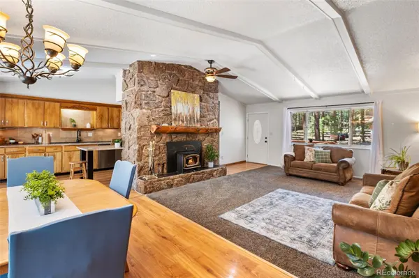 723 N Center ST, Woodland Park, CO 80863