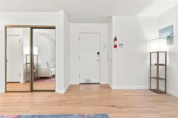 1056 N Marion ST #203, Denver, CO 80218