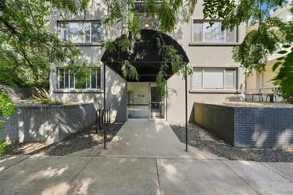 1056 N Marion ST #203, Denver, CO 80218