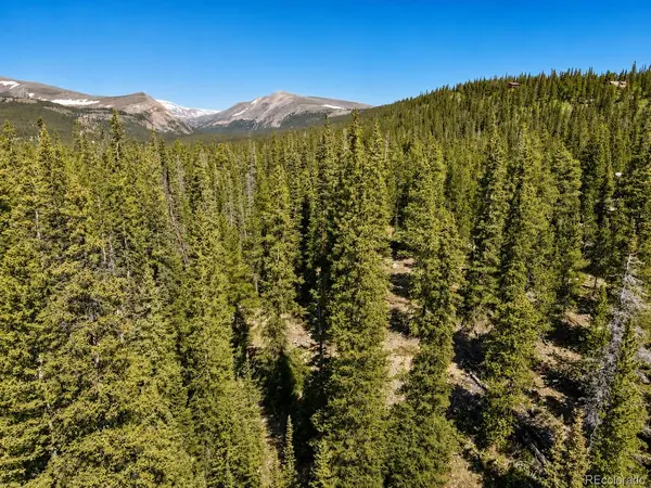 000 Guymard RD, Fairplay, CO 80440