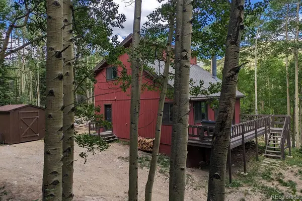 288 Roberts RD, Alma, CO 80420