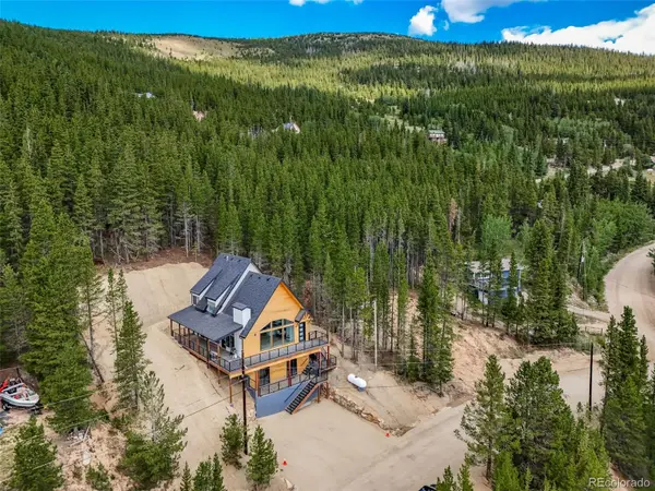 717 Alice RD, Idaho Springs, CO 80452