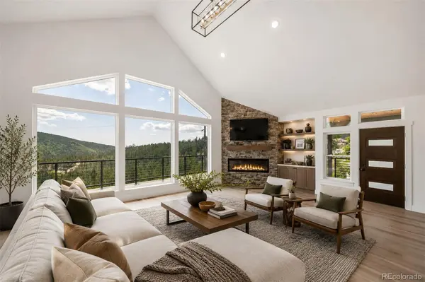 717 Alice RD, Idaho Springs, CO 80452