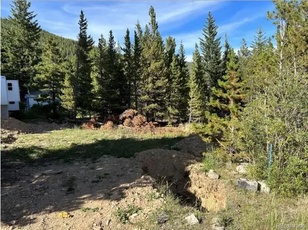 343 Aspen RD, Idaho Springs, CO 80452