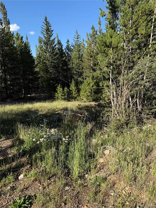 343 Aspen RD, Idaho Springs, CO 80452