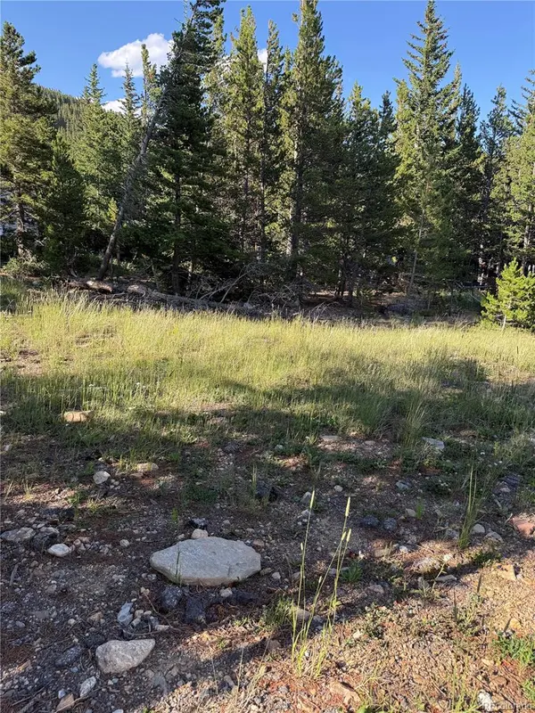 343 Aspen RD, Idaho Springs, CO 80452