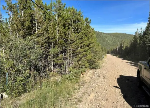 343 Aspen RD, Idaho Springs, CO 80452