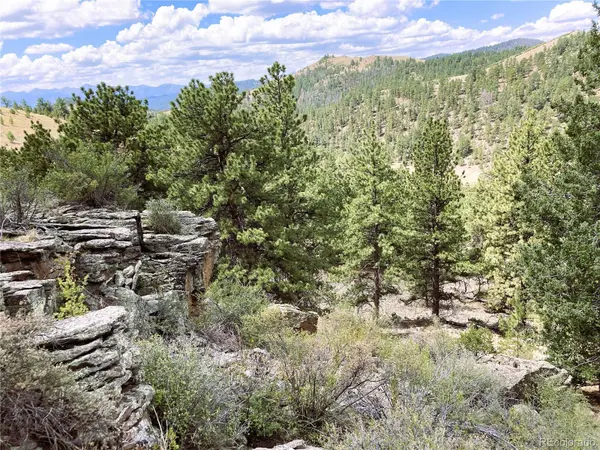 2506 County Road 16, Cotopaxi, CO 81223