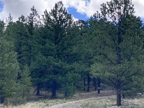 2506 County Road 16, Cotopaxi, CO 81223