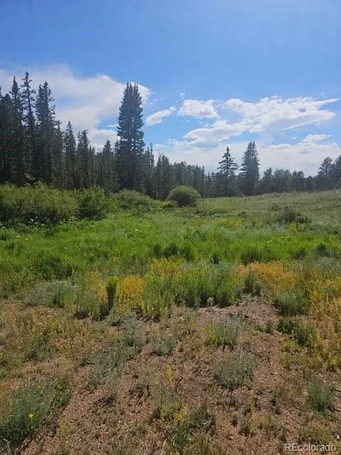 1164 Arapahoe Creek TRL, Florissant, CO 80816
