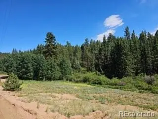 1164 Arapahoe Creek TRL, Florissant, CO 80816