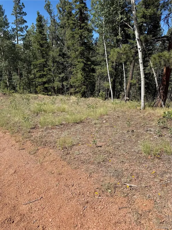 1007 Derby DR, Cripple Creek, CO 80813