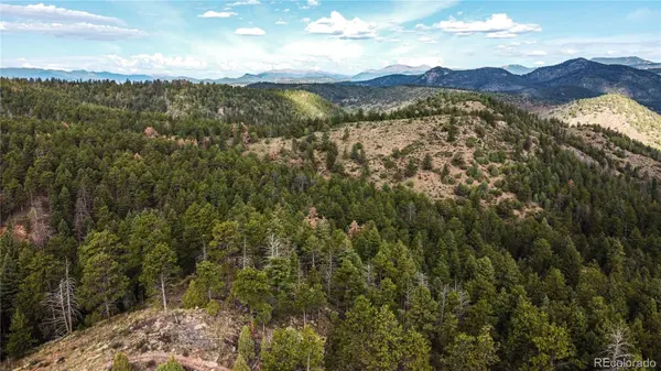 TBD Cathedral TRL, Conifer, CO 80433