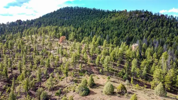 TBD Cathedral TRL, Conifer, CO 80433