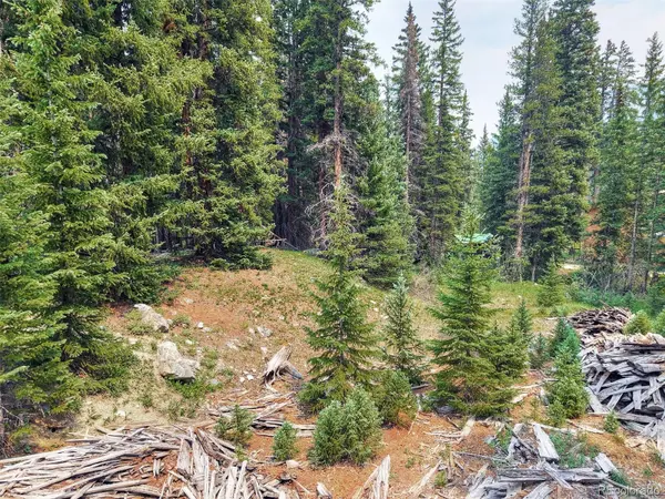757 CR 674, Breckenridge, CO 80424