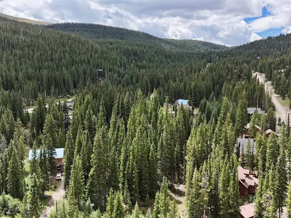 757 CR 674, Breckenridge, CO 80424