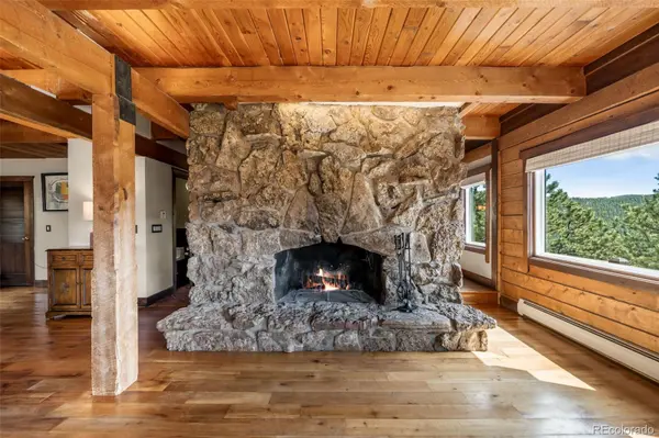 3890 S Skyline DR, Evergreen, CO 80439