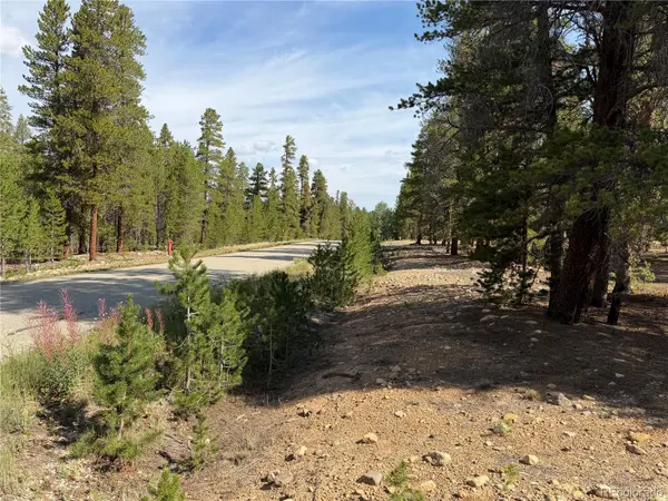 1796 Autumn DR, Leadville, CO 80461
