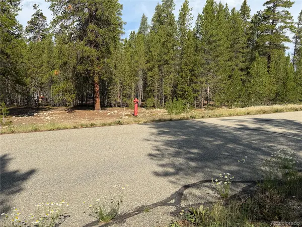 1796 Autumn DR, Leadville, CO 80461