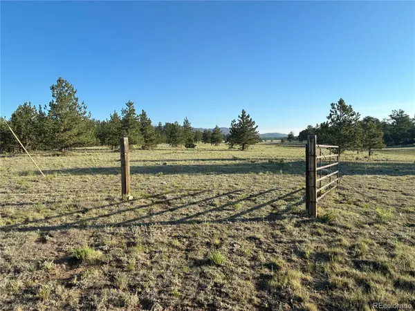 000 Doe Valley RD, Guffey, CO 80820