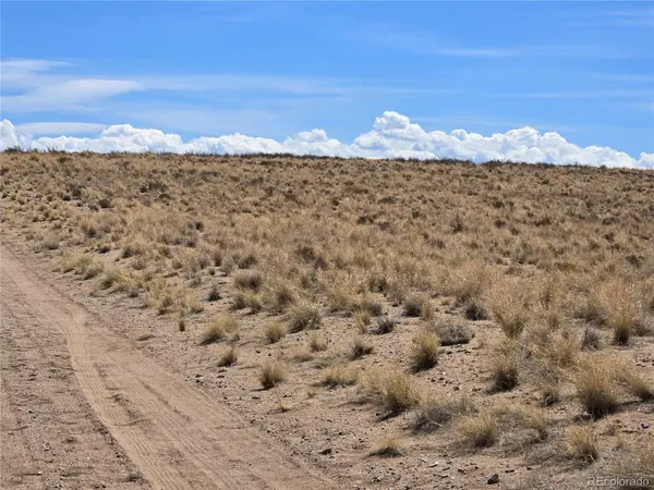 Lot 1 33rd Street, Blanca, CO 81123
