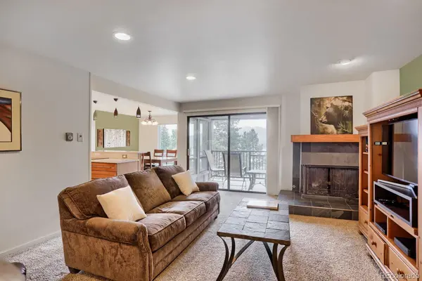 160 E La Bonte ST #201, Dillon, CO 80435