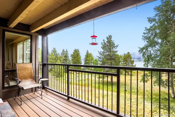160 E La Bonte ST #201, Dillon, CO 80435