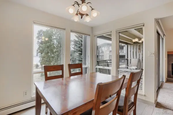 160 E La Bonte ST #201, Dillon, CO 80435