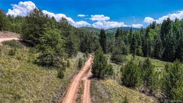 State HWY 67, Cripple Creek, CO 80813