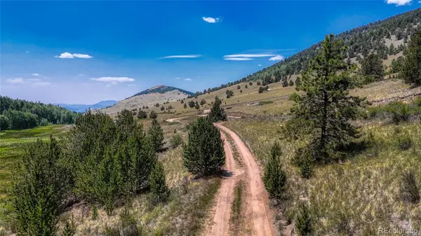 State HWY 67, Cripple Creek, CO 80813
