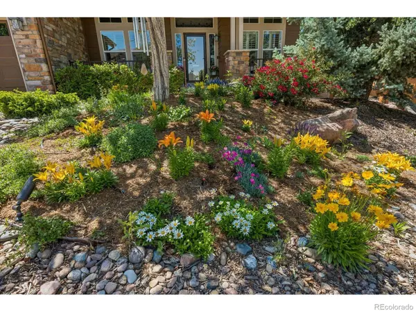1505 Stonehill CT, Castle Rock, CO 80104