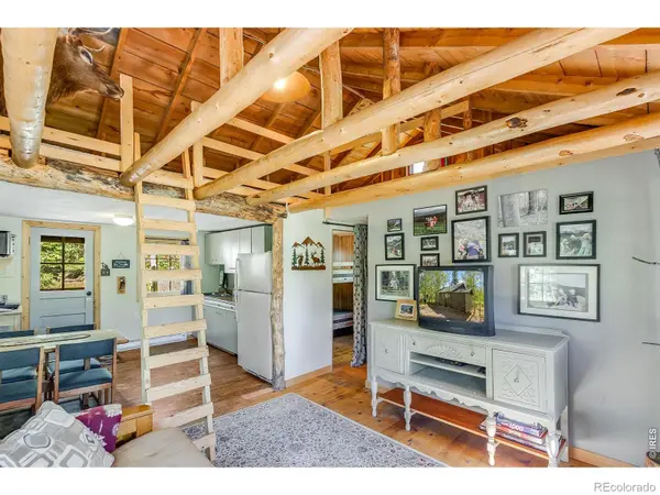 11614 Peak To Peak HWY, Allenspark, CO 80510