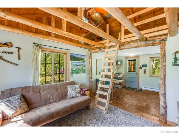 11614 Peak To Peak HWY, Allenspark, CO 80510