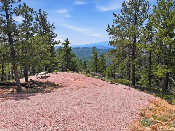 1091 Osage TRL, Red Feather Lakes, CO 80545