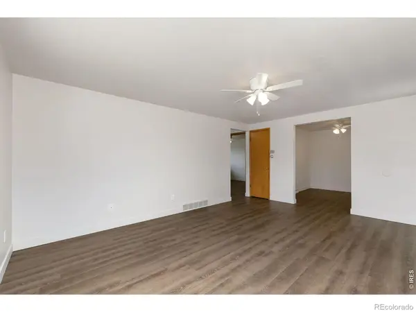 817 Litle CT, Loveland, CO 80537