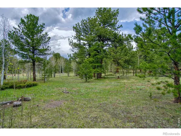 0 Sparn WAY, Jamestown, CO 80302